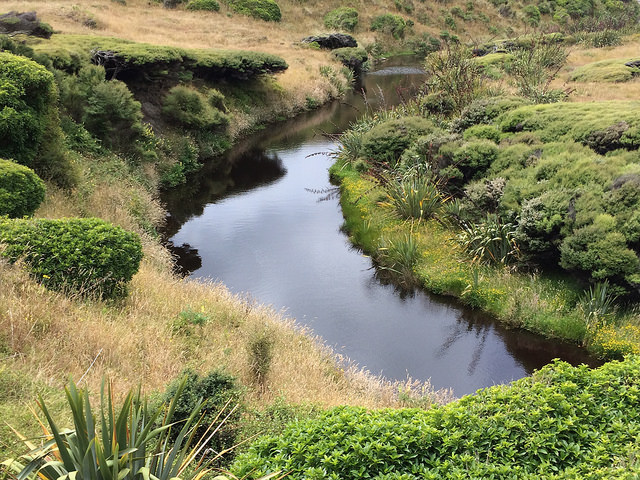 river-wharariki