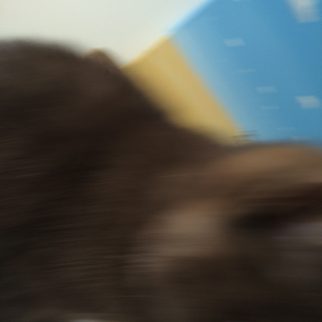 24588445841_3826c4f171_z