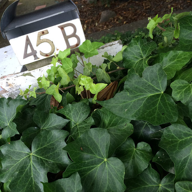 24964829224_d68e1956e4_z