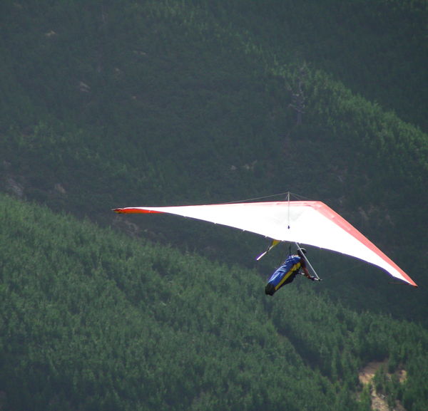 hangglider