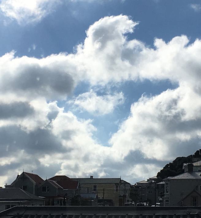 35041270642_05d23e7735_k