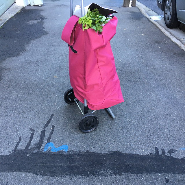 35292903906_832ee71010_z