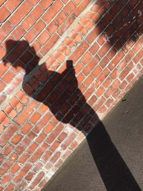 35163985842_fef6df6e12_z