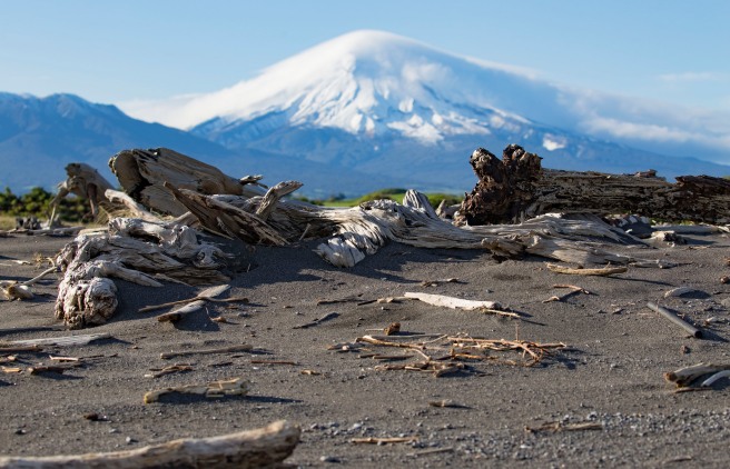 Cloud-capped Taranaki, driftwood in front. Photo Dave Young CC BY 2.0