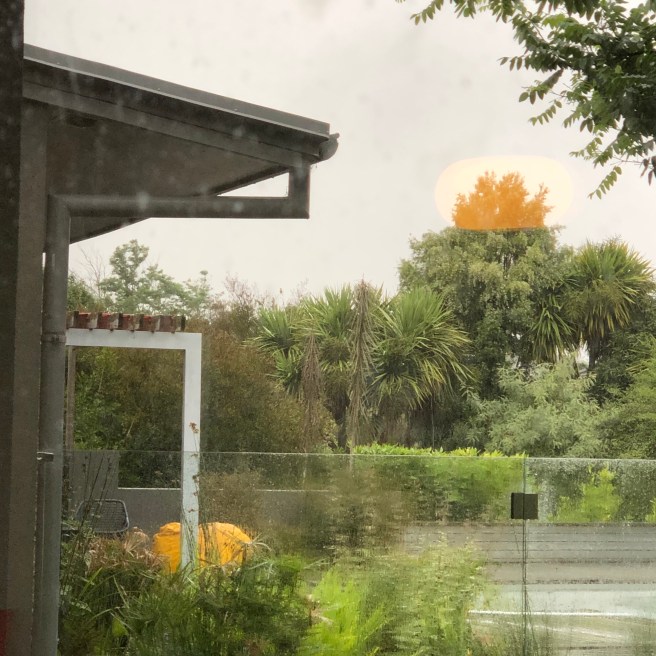Home swimming pool with golden light reflected on a treetop